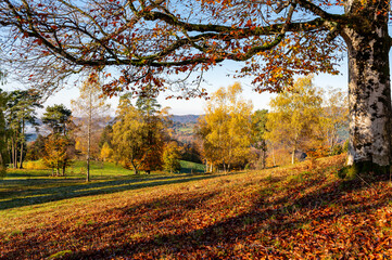 Schwarzwald ,Herbst 