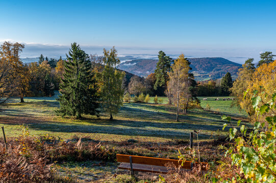 Schwarzwald ,Herbst 