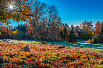 Schwarzwald ,Herbst 
