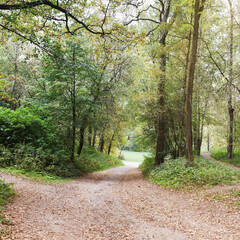 Old park early in the autumn