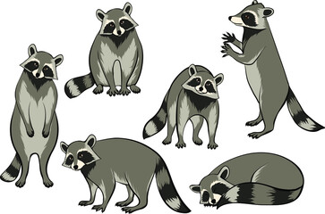 Set of racoons vector ilustrations eps10 © Elena