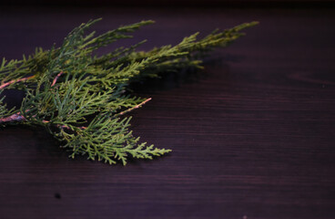 Branch of pine tree on wooden background, new year frame  with space for text