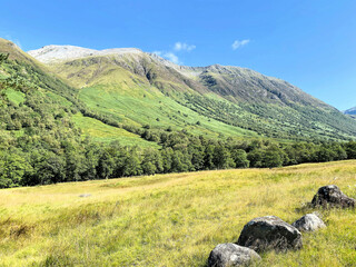 Fototapeta premium The Scottish Countryside near Ben Nevis