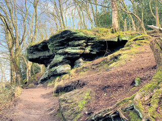 The Cheshire Countryside at Bickerton