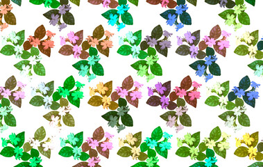 Pattern jasmine flower plant