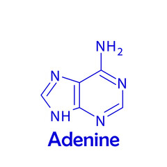 Adenine Nitrogenous base, nucleotide biomolecule strcuture on white background
