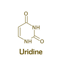 Uridine Nitrogenous base, nucleotide biomolecule strcuture on white background