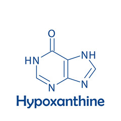 Hypoxanthine Nitrogenous base, nucleotide biomolecule strcuture on white background