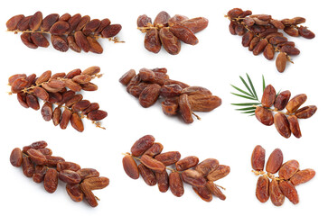 Set with sweet dried dates on white background