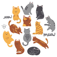 Cute cats in different poses.