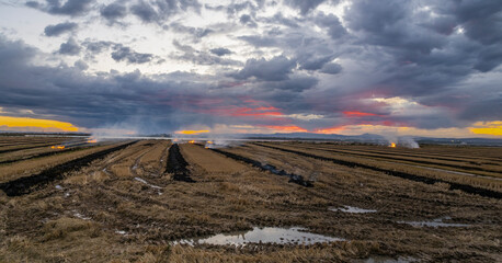 Sunset around the Albufera of Valencia (Spain)