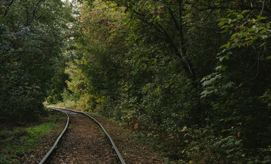 The road to the wilderness. Dense green forest. A mystical and mysterious way. Cloudy autumn weather. A journey on black iron rails. Abandoned railway 