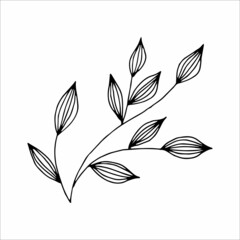 Fantasy whimsical twig with leaves hand drawn doodle element coloring book for kids and adults