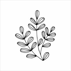 Fantasy whimsical twig with leaves hand drawn doodle element coloring book for kids and adults