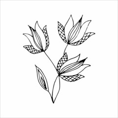 Fantasy whimsical twig with leaves hand drawn doodle element coloring book for kids and adults