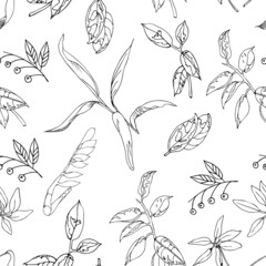 Vector seamless floral pattern, with tropical leaves of house plants. Sheet of ficus beljamino, sheffler, doodle style, white outline, for design of wallpaper, paper, cards, cards, green background.