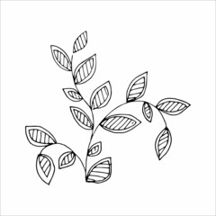 Fantasy whimsical twig with leaves hand drawn doodle element coloring book for kids and adults