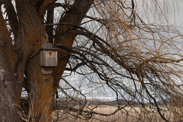 A bird house for wildlife hangs on an old tree at the Klamath Wildlife Area in Southern Oregon.