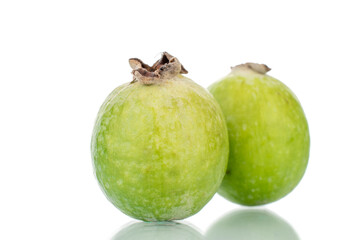 Two ripe sweet fruits of feijoa, close-up, isolated on white.