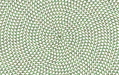 Pattern jasmine flower plant