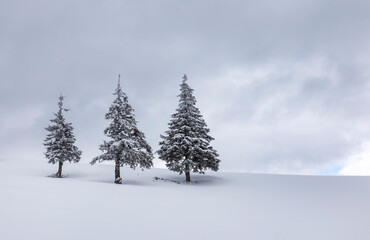 Beautiful snow covered hills with pine trees, winter landscape