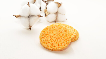 sponge sponge for washing and removing makeup on a white background 