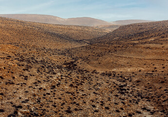 Desert landscape in Timna park  - obrazy, fototapety, plakaty