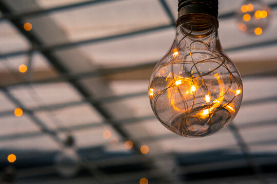 Calid lights