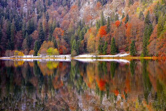 Feldsee Schwarzwald
