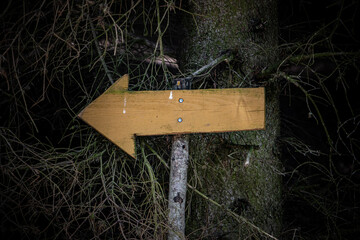 A wooden arrow on a stick indicates the direction of a path in a dark forest
