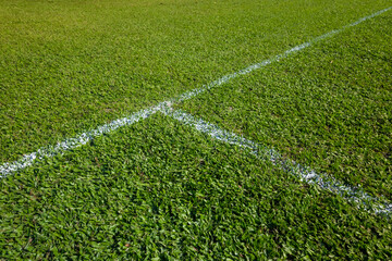White line over the soccer court