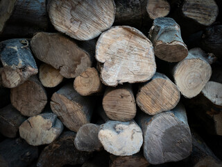 stack of firewood