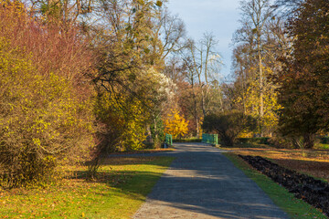 Castle park - autumn landscape with sun with colorful trees.