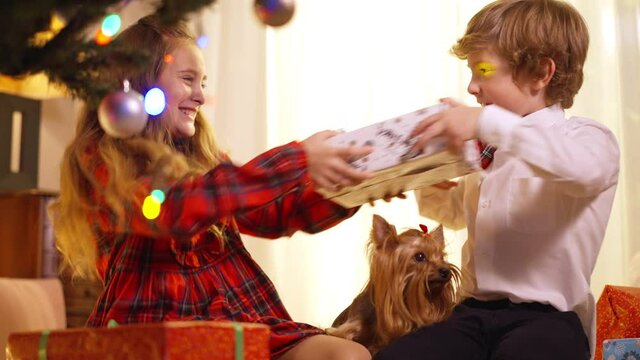 Siblings Fighting For Christmas Gift Sitting In Living Room With Dog. Caucasian Little Boy And Girl Pulling New Year Present At Home Indoors. Conflict Of Brother And Sister On Holiday