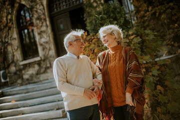 Senior couple walking in autumn park