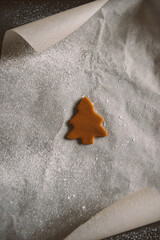 One small gingerbread cookie in the form of a Christmas tree on parchment