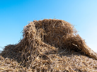 Haystack (hay balls, haycock or hay bales) on a farm field, against clear blue sky.