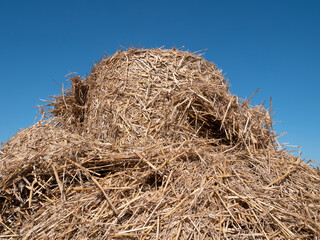 Naklejka premium Haystack (hay balls, haycock or hay bales) on a farm field, against clear blue sky.