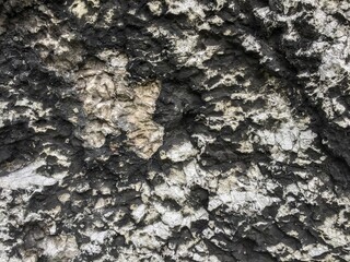 Abstract wall background, natural grunge texture pattern.