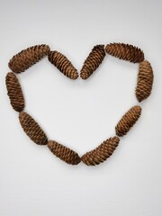 
The pine cones lie on a white table