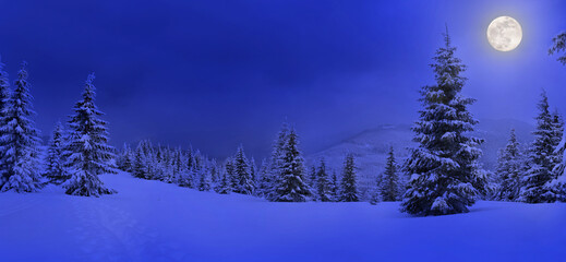 Full Moon rising above the winter fir forest covered of snow in mountains. Landscape winter