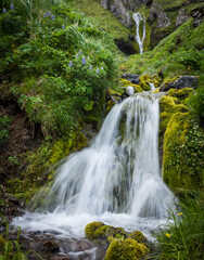 Obraz premium A waterfall on Umnak Island in Alaska's Aleutian Islands. Alaska Maritime National Wildlife Refuge.