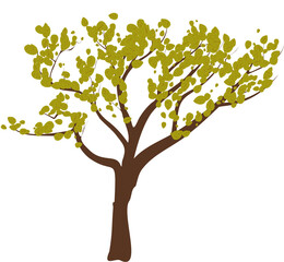 Obraz premium árbol con hojas verdes amarillentas. otoño. sin fondo, fondo transparente