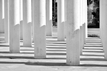 Grupo de columnas y sombras en blanco y negro