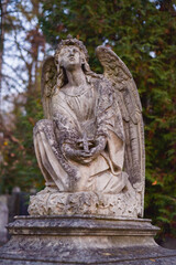 Fototapeta na wymiar Old European cemetery. Lychakiv. Lviv. Ukraine
