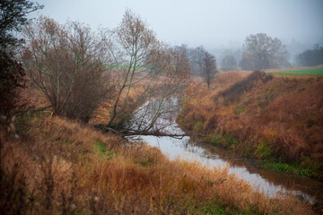 Fototapeta na wymiar Stream in autumn fog