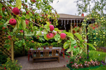 Open wooden gazebo in the garden with apple trees and flowers. Summer landscape background.