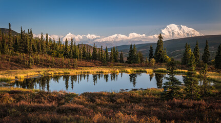 Denali (Mt. McKinley) on a clear day in autumn with a small tundra pond in the foreground. Denali National Park, Alaska. 