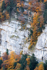 A cliff during fall