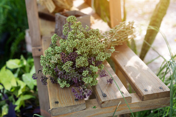Bunch of dried medicinal herb Oregano on wooden table. Traditional medicine